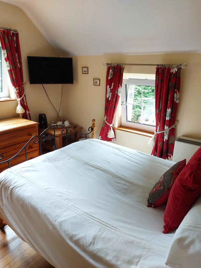 Вилла Bryn Sion Farm Dinas Mawddwy Экстерьер фото