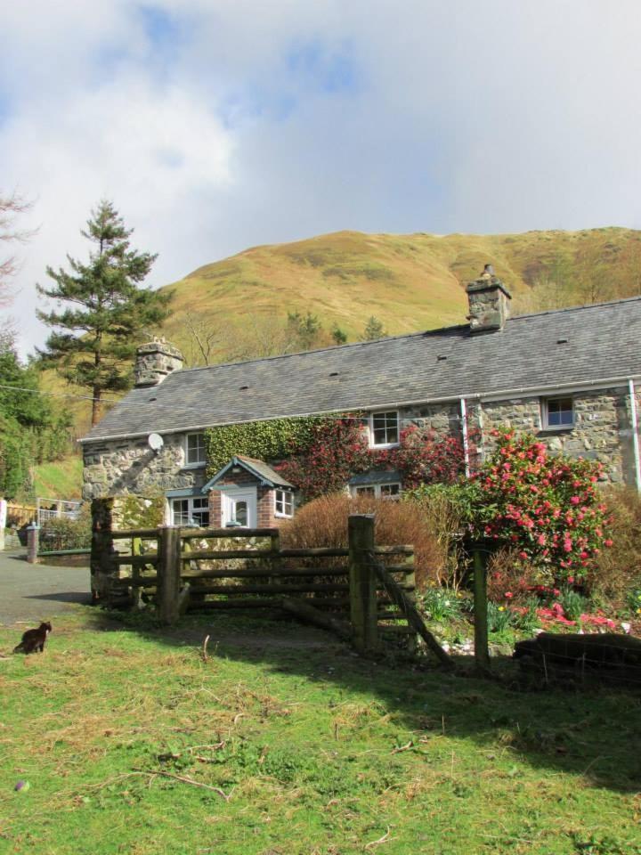 Вилла Bryn Sion Farm Dinas Mawddwy Экстерьер фото